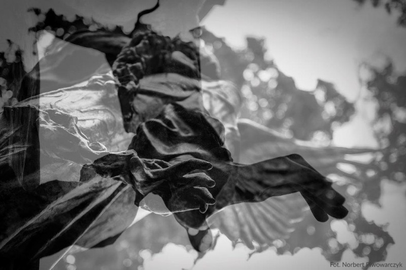  dsc7890-2-461