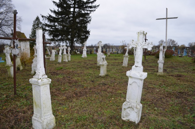 Porządkujemy Zapomniane Cmentarze Pogranicza, Instytut POLONIKA